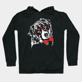 Funny Cute Australian Shepherd Aussie dog Hoodie